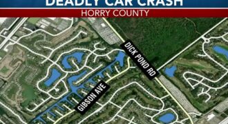 Fatal crash at intersection of Duck Pond Rd and Gibson Ave in Horry County map